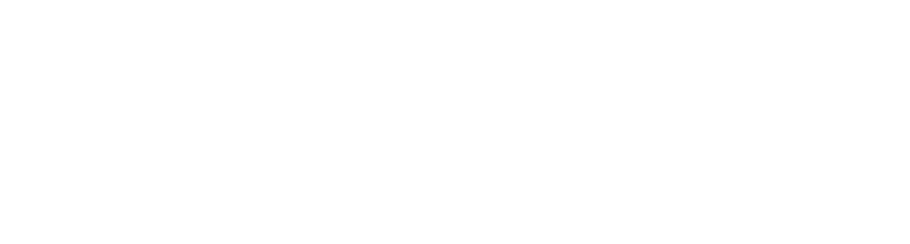 DragonBridge Logo